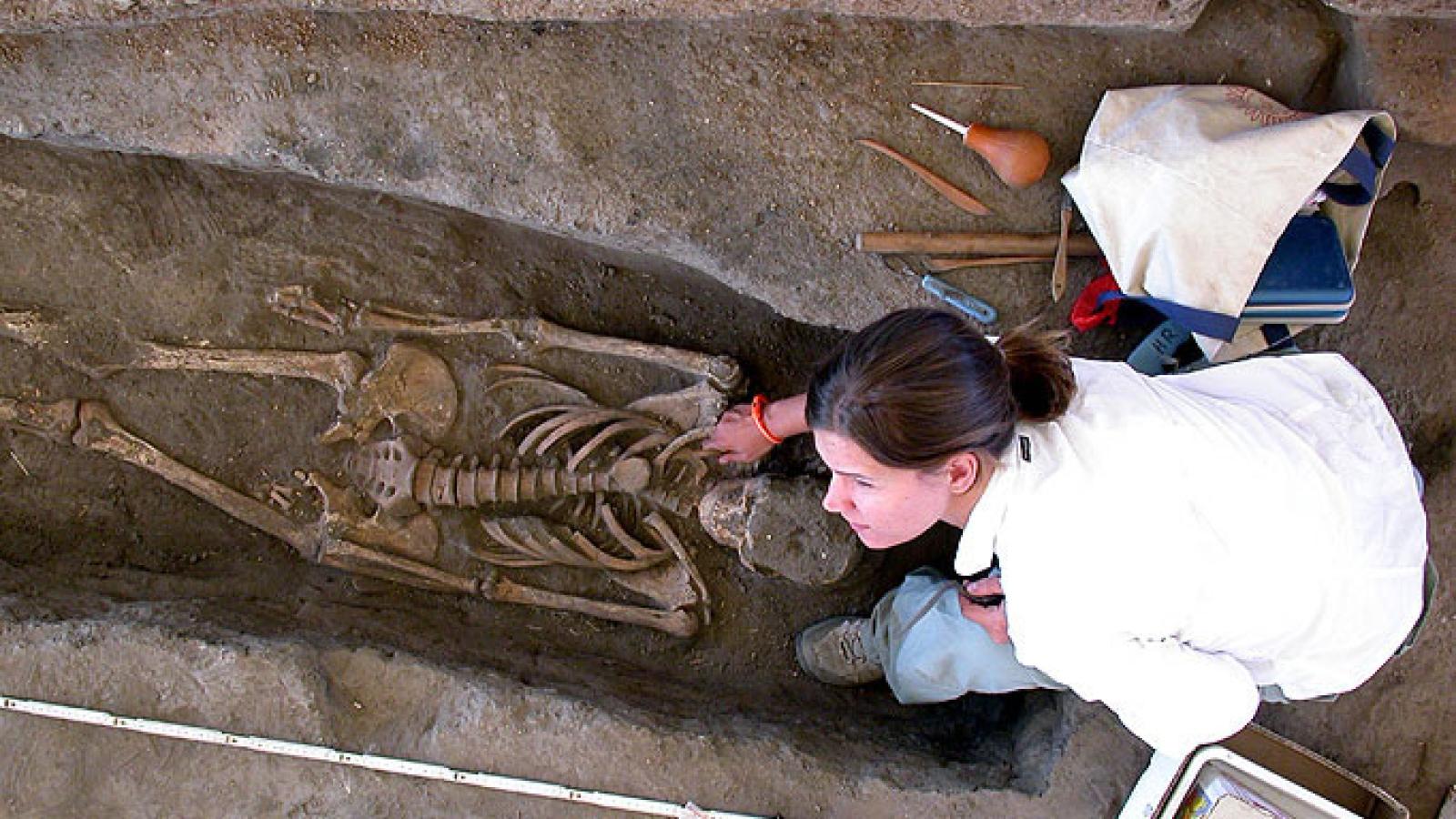 Student excavating a skeleton