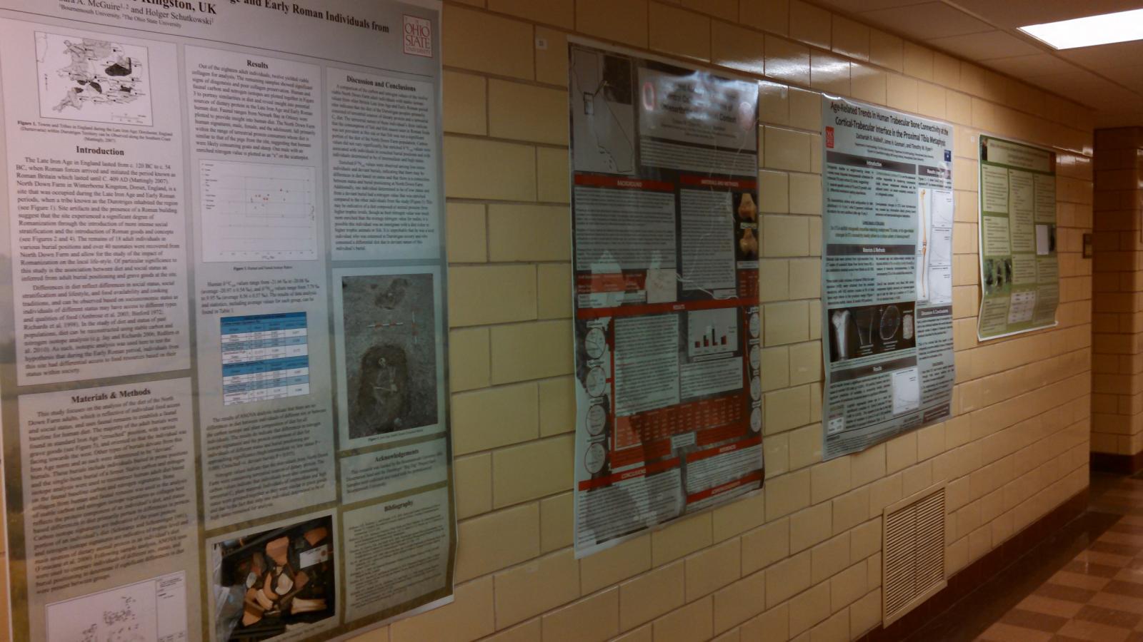 Some of the posters from the 2015 Year In Anthropology symposium