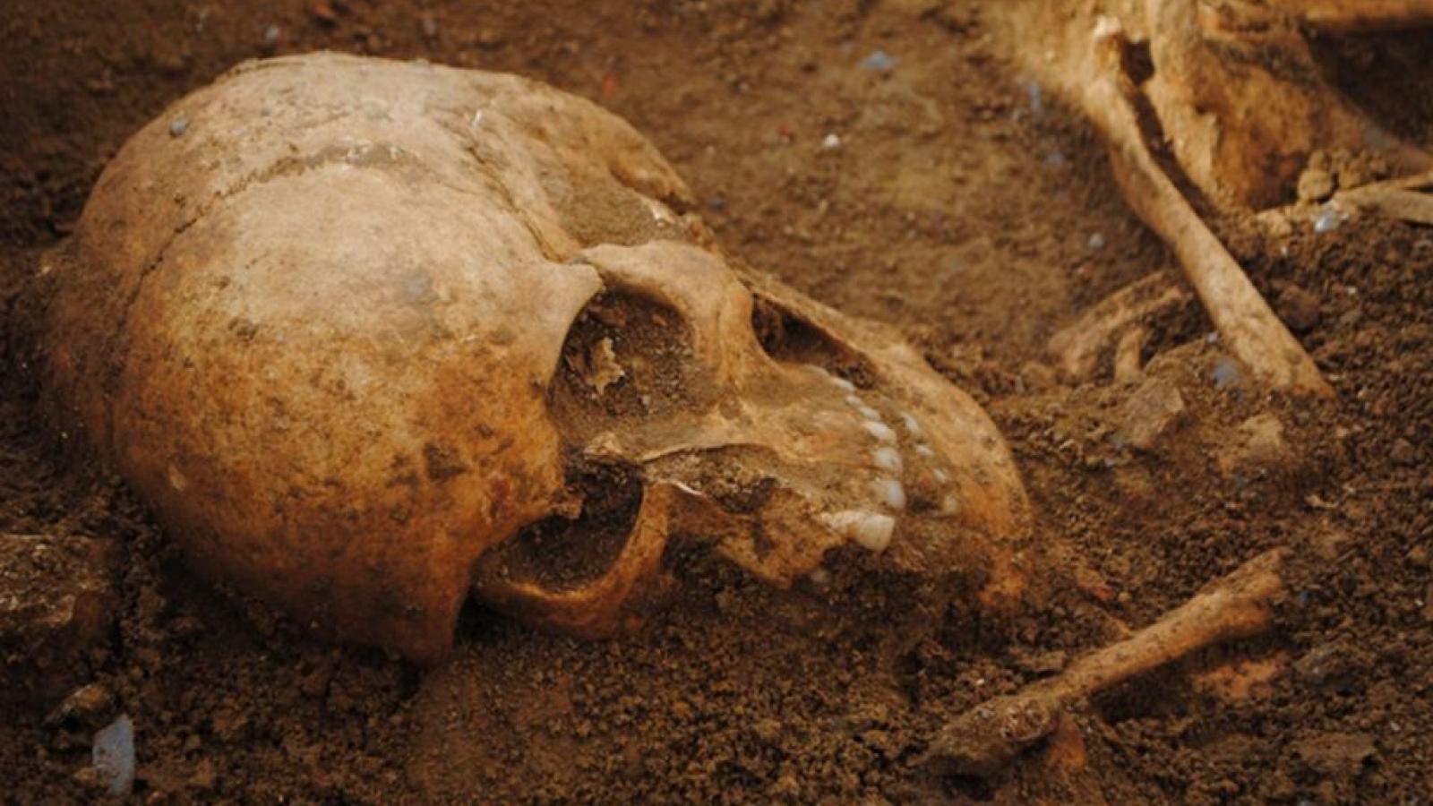 Human skull in a medieval cemetery, Tuscany, Italy